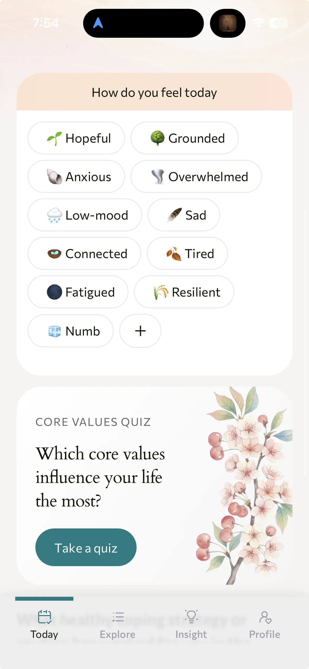 App showing mood check-in interface